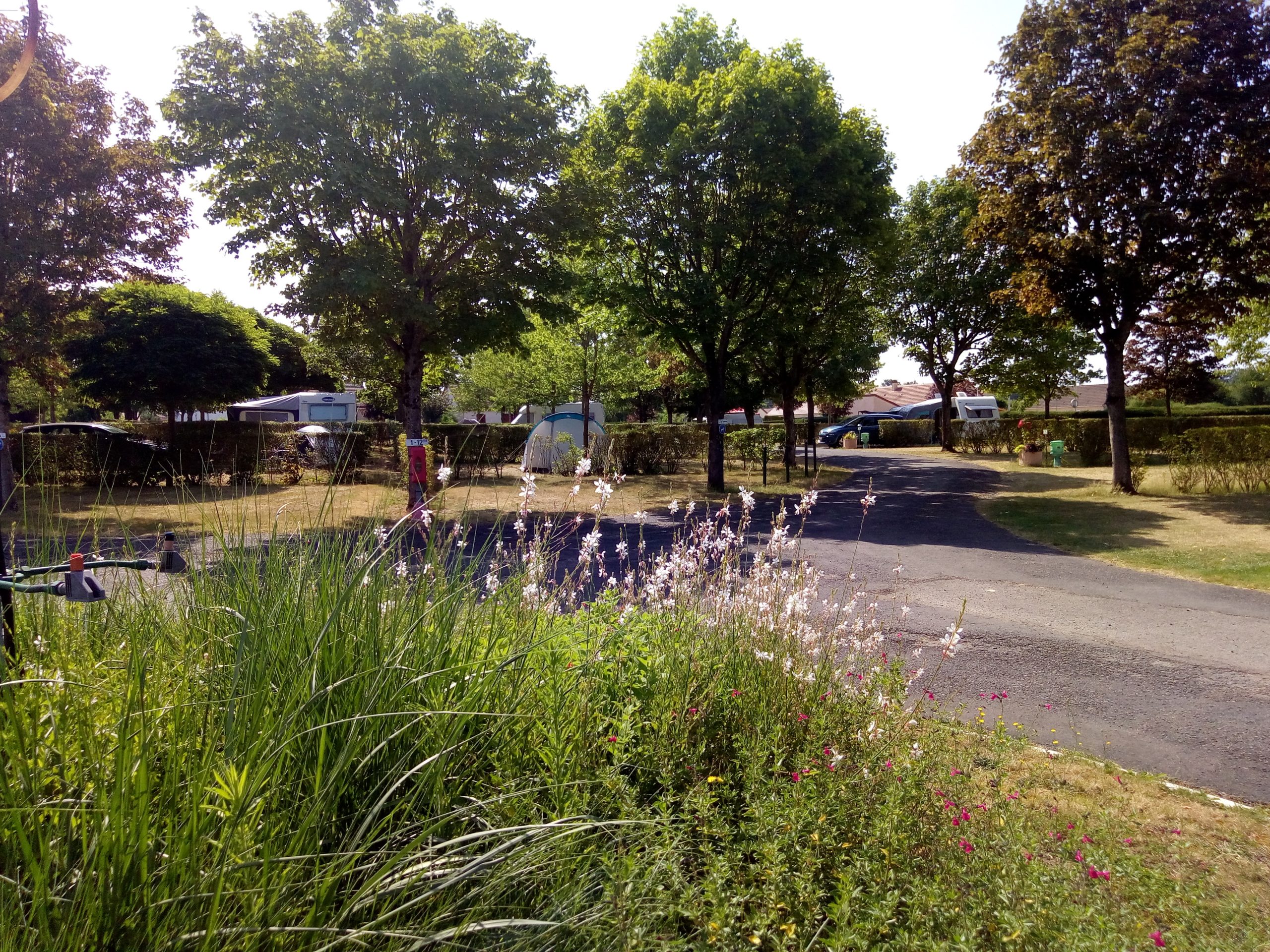 Camping municipal "Les Bords de Besbre" — photo 8